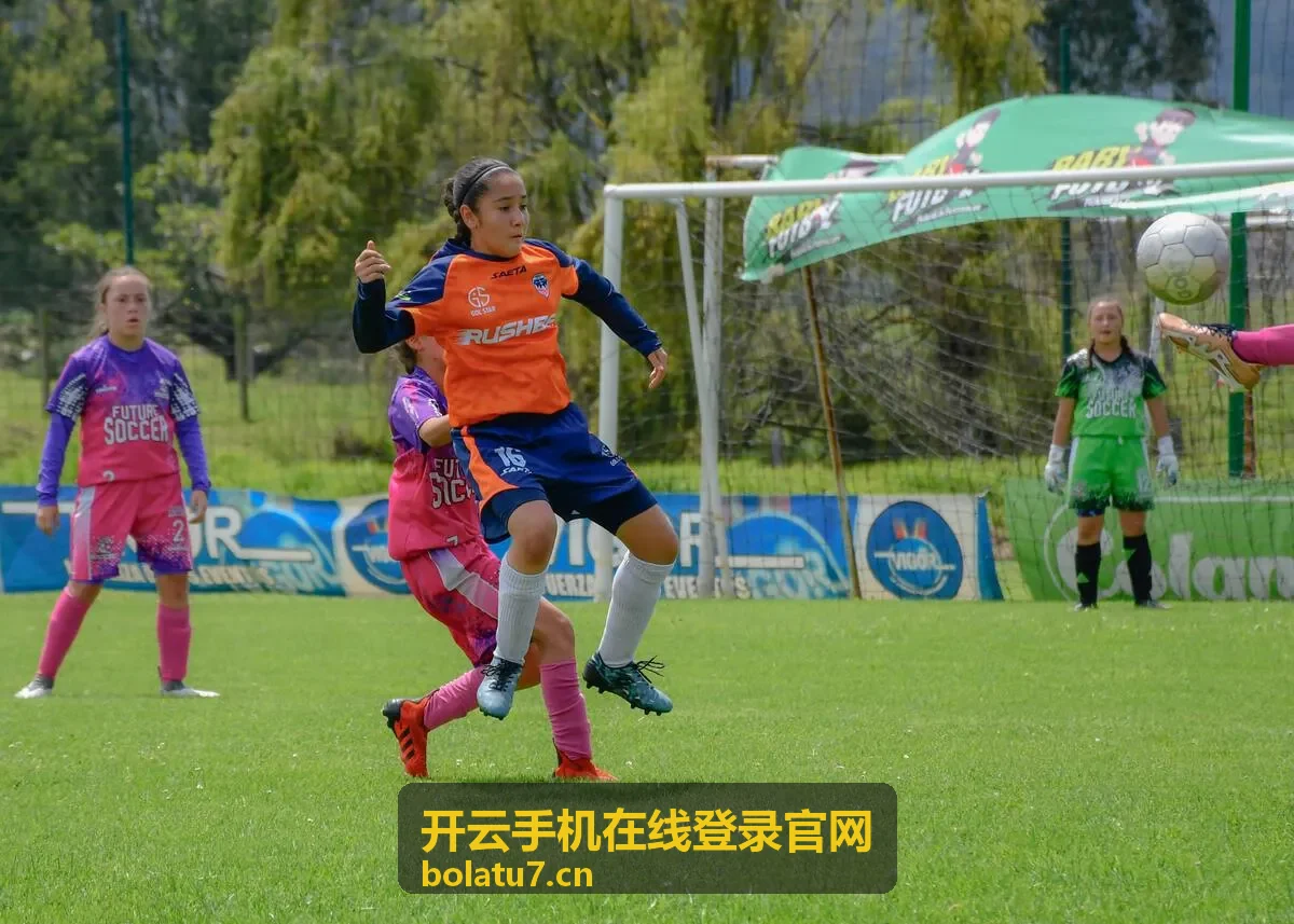 开云手机在线登录官网服务介绍