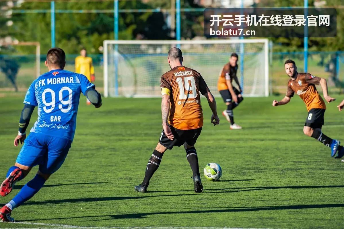 开云手机在线登录官网账号申诉与安全恢复操作示意图