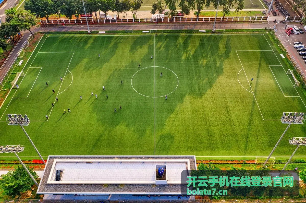 开云手机在线登录官网常见问题