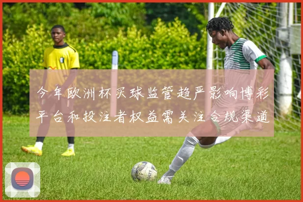 今年欧洲杯买球监管趋严影响博彩平台和投注者权益需关注合规渠道和风控措施