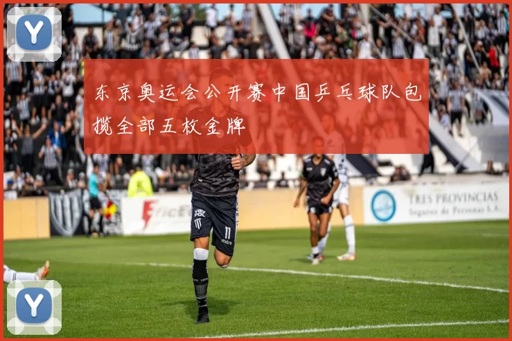 东京奥运会公开赛中国乒乓球队包揽全部五枚金牌
